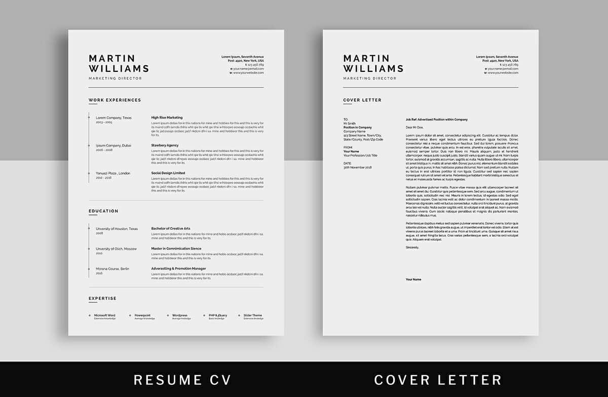 well designed resumes with timeline