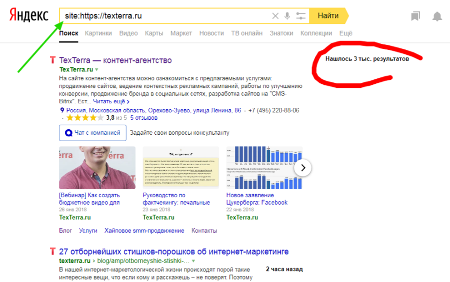 Мы видим примерное число страниц в индексе «Яндекса» и даже последнюю добавленную статью