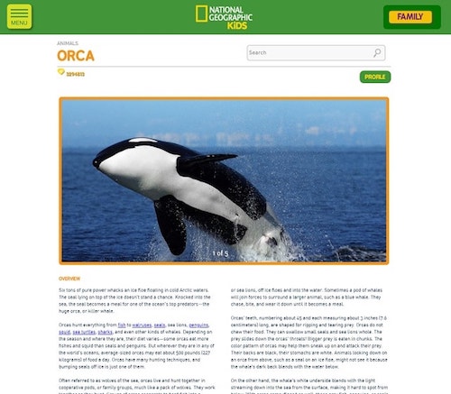 How To Design A Website National Geographic